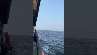 Healing Mancing  #shorts #short #shortvideo #shortsvideo