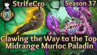 Hearthstone Midrange Murloc Paladin Clawing the Way to the Top