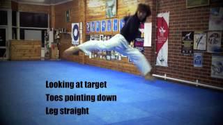 Taekwondo Basics HQ