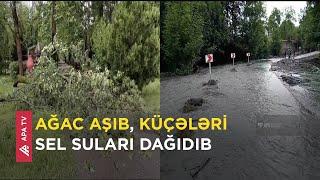 Qəbələdə leysan yağışları güclü fəsadlar törədib yollar bağlanıb – APA TV