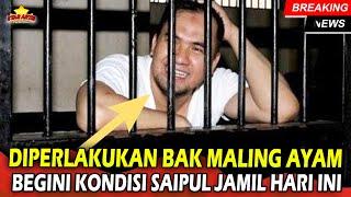 BAK MALING AYAM SAIPUL JAMIL HISTERIS MINTA TOLONG BEGINI KONDISI TERBARU SAIPUL JAMIL HARI INI