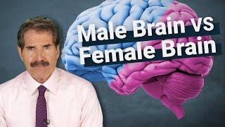 The Science Male Brain vs Female Brain