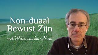 Non-duaal Bewust Zijn  Non-dualiteit  Advaita Vedanta  Jung  Interview 1 met Peter van der Meer
