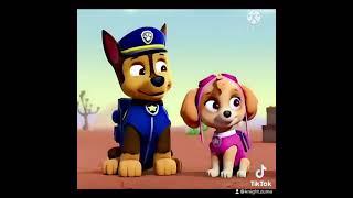 Skye Mini Edit Cant Stop The Feeling - Justin Timberlake Paw Patrol mini edit