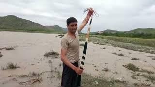 Net fishing in river tiny fish how to cast netfishing net