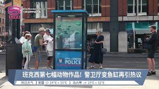 班克西第七幅动物作品！ 警卫厅变鱼缸再引热议【2024.08.12 八度空间华语新闻】