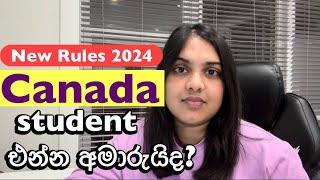 Study Permit Cap Canada   PGWP  No Spousal Open Work Permit  Canada New Rules  Sinhala