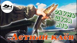 Рыбалка на лесном озере в глуши Ленинградской области отличный клёв окунь щука язь