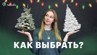 Как выбрать елку на новый год? Какая ёлка экологичнее живая или искусственная   TutorOnline