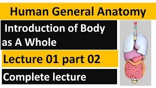 Human General Anatomy  Lecture in UrduHindi  Intro of Body as a Whole  lect#01 p#2 BSN Lectures