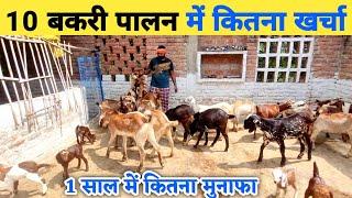 10 बकरी पालन करने में कितना खर्च आएगा  10 bakri palan mein kitna kharcha aayega