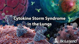 Cytokine Storm Syndrome in the Lungs