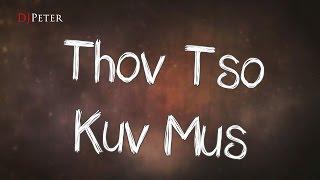 Sandy Moua - Thov Tso Kuv Mus DJPeter Instrumental