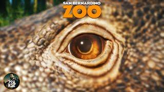 Building the Most Realistic Zoo in Franchise Mode  San Bernardino Zoo  Planet Zoo