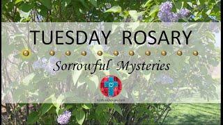 Tuesday Rosary • Sorrowful Mysteries of the Rosary  May 21 2024 VIRTUAL ROSARY - MEDITATION