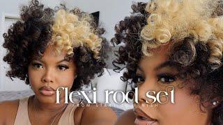 HOW TO My Updated Flexi Rod Set on DRY Natural Hair Step by Step + Wash Day  Naturally Sunny