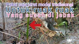 Cara membuat jerat burung ruak ruak model tradisional langsung praktek di persawahan.