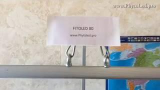 Светодиодный фитосветильник FitoLed 80