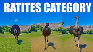 Ratites Category Speed Races in Planet Zoo included Emu Cassowary Ostrich