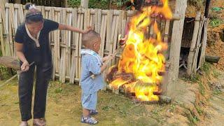 Harvesting pumpkins for seed planting corn with his grandmother the boy burned down the house