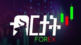 birtat forex  part 1 beginner course