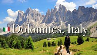  My DOG hikes DOLOMITES World heritage Italian ALPS l Luxury Forestis Dolomiti l Explore Milan