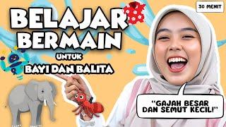 Belajar Bicara Untuk Balita Bersama Kak Nisa - Mengenal hewan Mengenal Kata Lagu Interaktif Balita