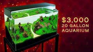 This 20 Gallon Aquarium Costs $3000 — The Ultimate Luxury Aquarium