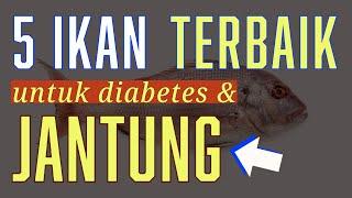 5 Ikan Terbaik Untuk Diabetes Dan Jantung  Hindari 5 Ikan Berbahaya Ini