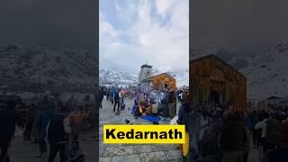 Kedarnath Yatra 2024  #kedarnath #kedarnathtour #uttrakhand #kedarnathtemple #minivlog #shorts