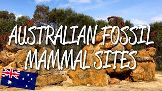 Australian Fossil Mammal Sites - UNESCO World Heritage Site