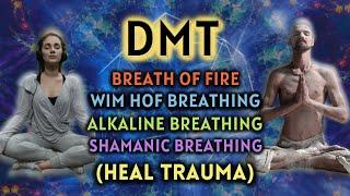 HEAL TRAUMA Anxiety Relieving Breathing Exercises  DMT Breathing 3 Guided Rounds