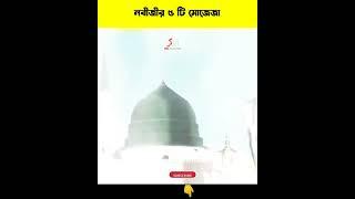 নবীজীর ৫টি কারিশমা #shorts #islamicshorts #youtubeshorts #viral #short @TheReminders