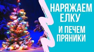 Какую елку выбрать? Имбирное печенье и новогоднее настроение. Vlogmas