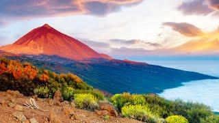 Inside The Canary Islands Incredible And Varied Landscape  Hidden Canary Islands