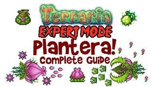 Terraria Plantera Guide Expert Mode & Normal Too PC Console and Mobile 1.3 & 1.2
