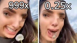 Oh look a dandelion but its 0.25x vs 999x speed