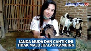 GAGAL MENIKAH JANDA CANTIK SUKSES JUALAN KAMBING  JATENGPOS TV