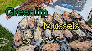 Greenlip Mussels Catch and Cook 