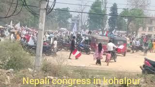 nepali congress kohalpur Banke. kohalpur election 2079 in Nepal. vote for tree