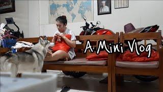 A Mini Vlog