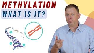 What is Methylation and How it Impacts our body?