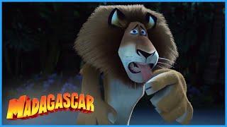 DreamWorks Madagascar  Arrive On The Island  Madagascar Movie Clip