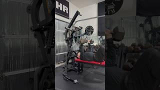 Cheap and Easy Dumbbell Self Spotter Hack with Daisy Chains #homegym #garagegym