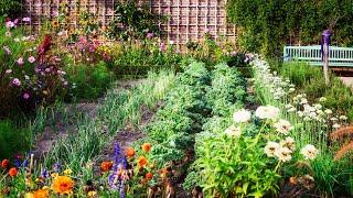 Planning a Vegetable Garden for Beginners The 5 Golden Rules 