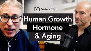 Human growth hormone HGH for longevity Does it slow aging?  The Peter Attia Drive Podcast