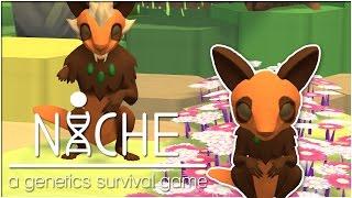 Birth of a Beautiful Royal Daughter • Niche Jungle Update - Episode #13