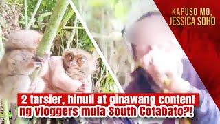 2 tarsier hinuli at ginawang content ng vloggers mula South Cotabato?  Kapuso Mo Jessica Soho