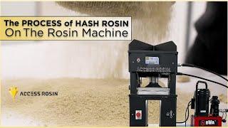 The process of Hash Rosin on The Rosin Machine  Access Rosin Machine ARM  Access Rosin ®