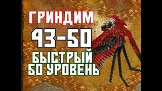 Быстрая прокачка в WoW Classic 43-50 уровень  Гринд #3